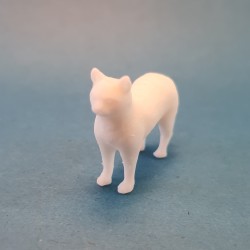 گربه