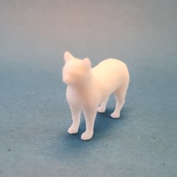 گربه