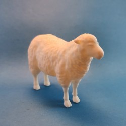 حیوانات